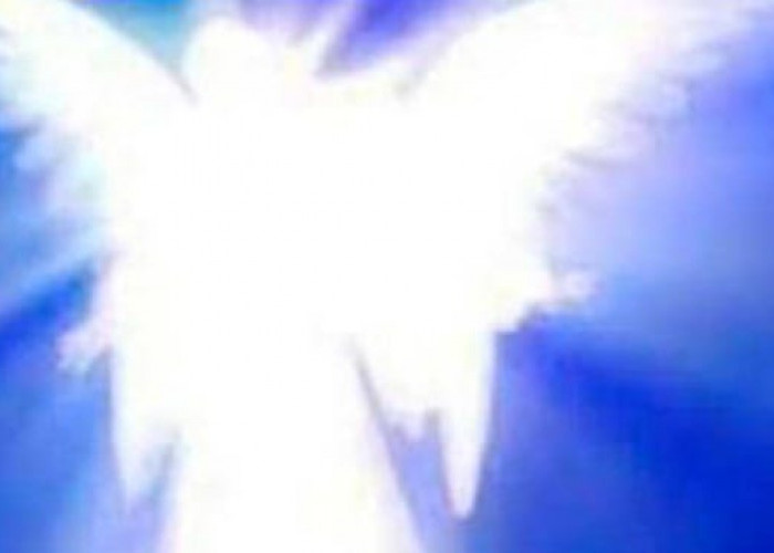 9 Hal Ini Tanda Kita Sedang Diikuti Malaikat, Termasuk Menemukan Bulu