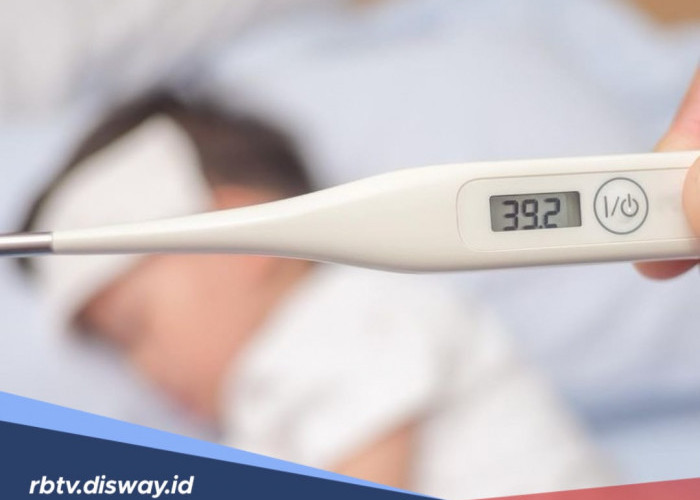Cara Membedakan DBD dan Tipes di Musim Kemarau, Jangan Sampai Salah Penanganan