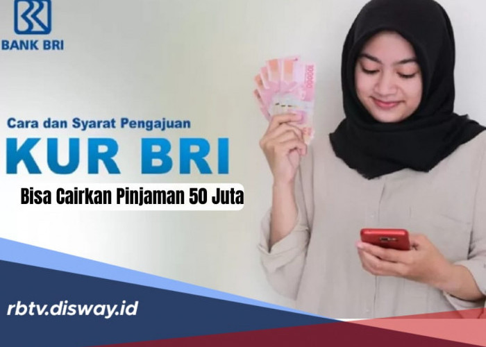 KUR BRI 2024, Begini Cara dan Syarat Pengajuan, Bisa Cairkan Pinjaman Rp 50 Juta