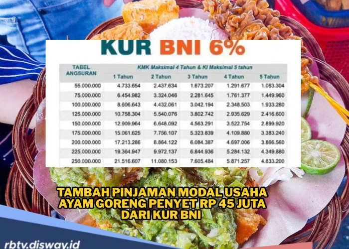 Tambah Modal Usaha Ayam Goreng Penyet Rp 45 Juta dari KUR BNI, Per Bulan Bayar Angsuran Segini