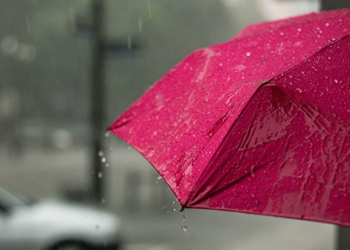 Siang Malam Mandi Keringat Kapan Musim Hujan? Ini Penjelasan BMKG dan Daerah yang Mulai Hujan   
