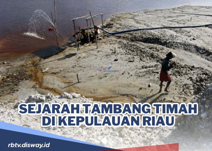 Sudah ada dari Tahun 1998, Ini Lokasi Harta Karun Tambang Timah di Kepulauan Riau, Pertama di Pulau Singkep!
