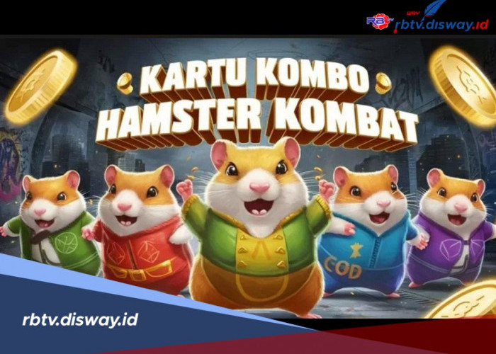 Kombinasi Kartu Kombo Hamster Kombat Hari Ini 27 Juli 2024, Menangkan Game dan Kumpulkan Koin