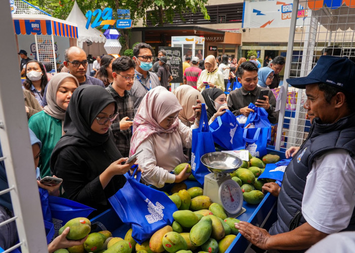 Berkat Pemberdayaan BRI, Petani Mangga Bondowoso Mampu Perluas Lahan dan Tingkatkan Taraf Hidup