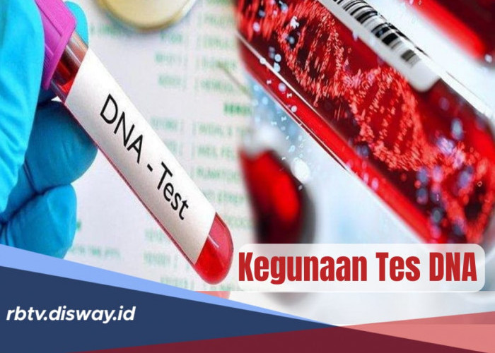 Inilah 6 Kegunaan Tes DNA Berserta Jenis-jenisnya, Ternyata Bukan Cuma untuk Identifikasi Genetik