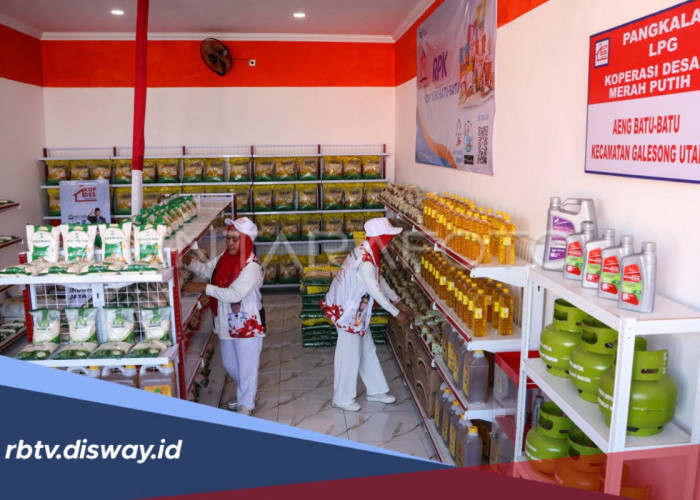 Gaji Pegawai Koperasi Merah Putih, Begini Skema Terbaru yang Sedang Disiapkan