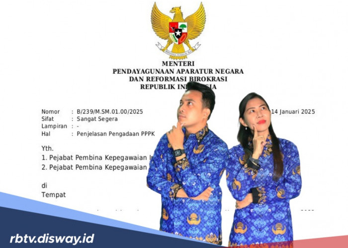 Angin Segar Bagi Tenaga Honorer, Ini Regulasi Terbaru PPPK Paruh Waktu untuk Kategori R2 dan R3