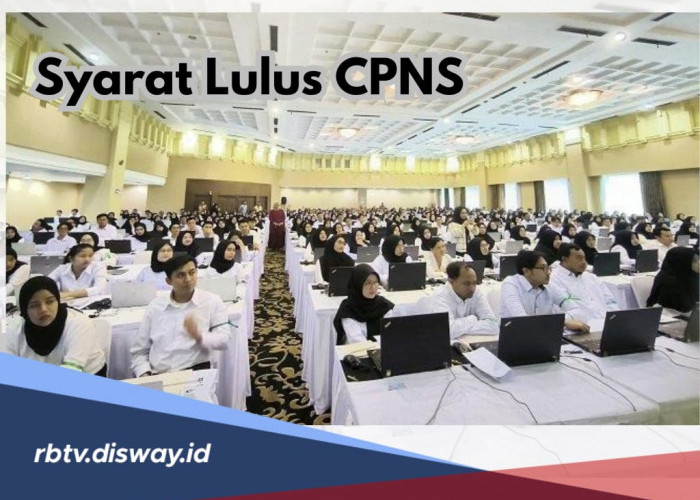 Lampaui Skor Tertinggi Bukan Jaminan, Ini Syarat Supaya Lulus CPNS 2024