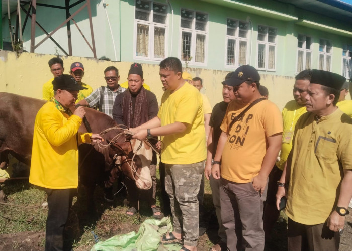 Ketua DPD Sultan dan Menteri ESDM Kanda Bahlil juga Berkurban di Bengkulu 
