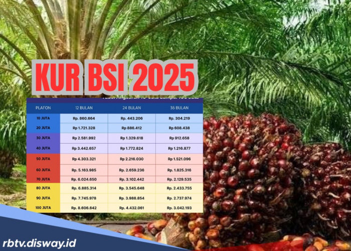 Pengajuan KUR BSI 2025 Bisa Online, Pinjaman Rp 40 Juta Angsurannya Rp 40 Ribuan Sehari