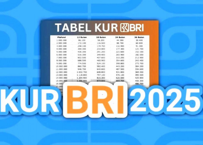 Pinjaman KUR BRI Bulan November Rp 20 dan 25 Juta, Angsurannya Mulai Rp 433 Ribu, Tenor Sampai 60 Bulan