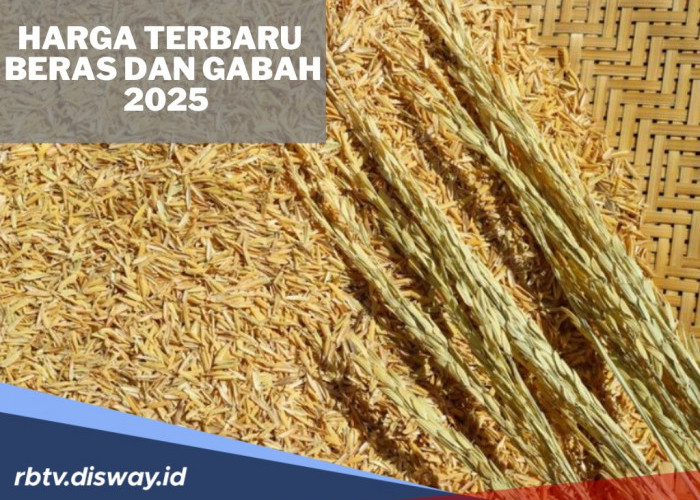 Daftar Harga Beras dan Gabah Terbaru Januari 2025, Ini Rinciannya 