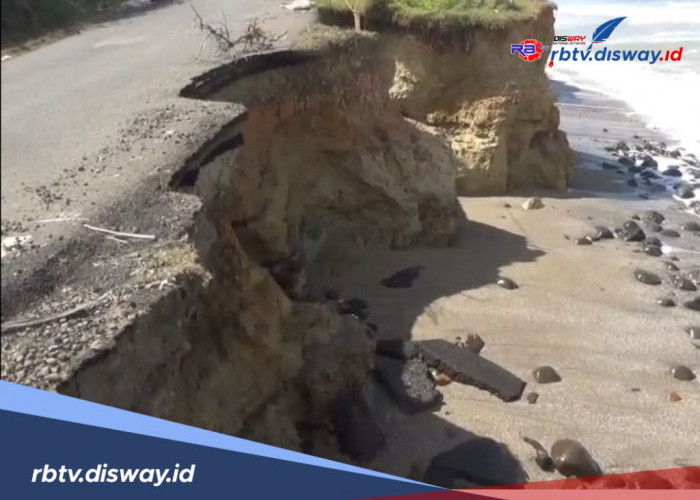 Semakin Parah, Jalan Non Status di Bengkulu Utara Nyaris Putus Digerus Air Laut