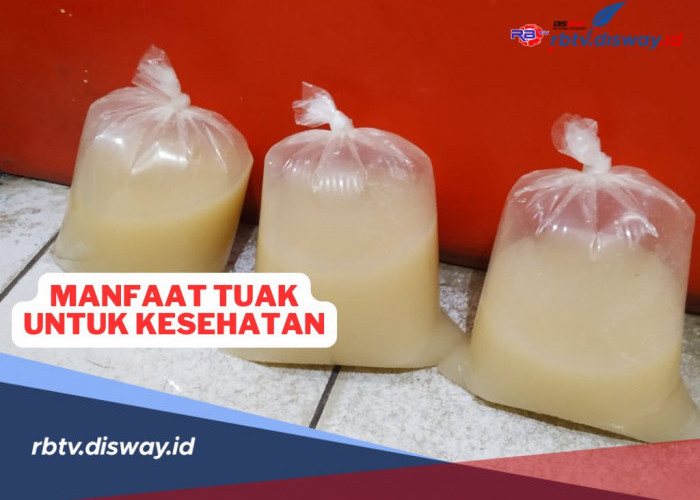 Sudah Tahu Belum, Ini 8 Manfaat Tuak untuk Kesehatan, No 9 Penting Diketahui Ibu-ibu 