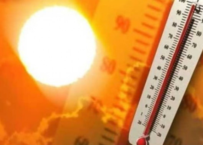 Terjangan 'Suhu Neraka', di Negara Ini Rekor Terpanas 51 Derajat, Benarkah Terkait Hari Kiamat?