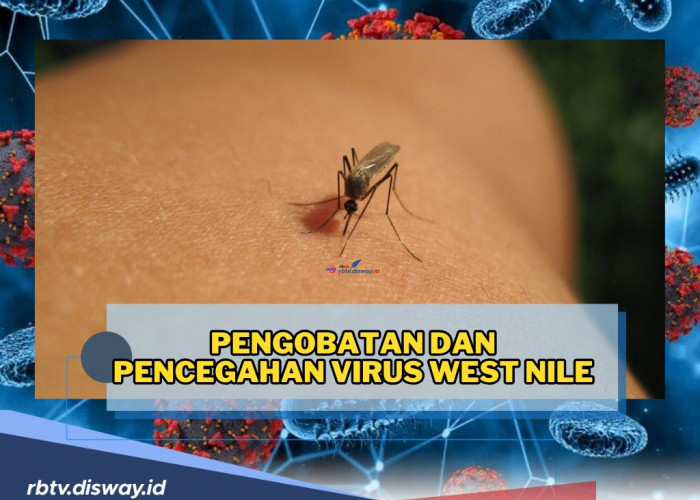 100 Orang Terinfeksi, Ini Pengobatan dan Pencegahan Virus West Nile