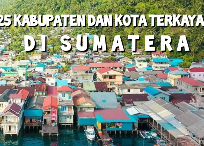 Ini 25 Kabupaten dan Kota Terkaya di Sumatera, Nomor 1 Bikin Melongo
