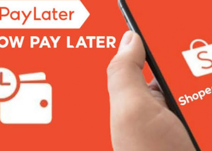 Jangan Langsung Panik, Begini Cara Menghadapi DC Lapangan Shopee jika Datang ke Rumah