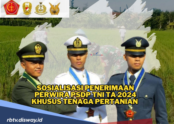 Lokasi Pendaftaran Penerimaan Perwira PSDP TNI TA 2024 Khusus Tenaga Pertanian 2024