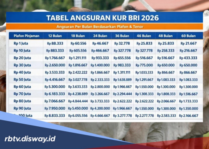 Pinjaman KUR BRI Rp 35 Juta Bisakah Angsurannya Dibayarkan Musiman Alias Bayar Panen
