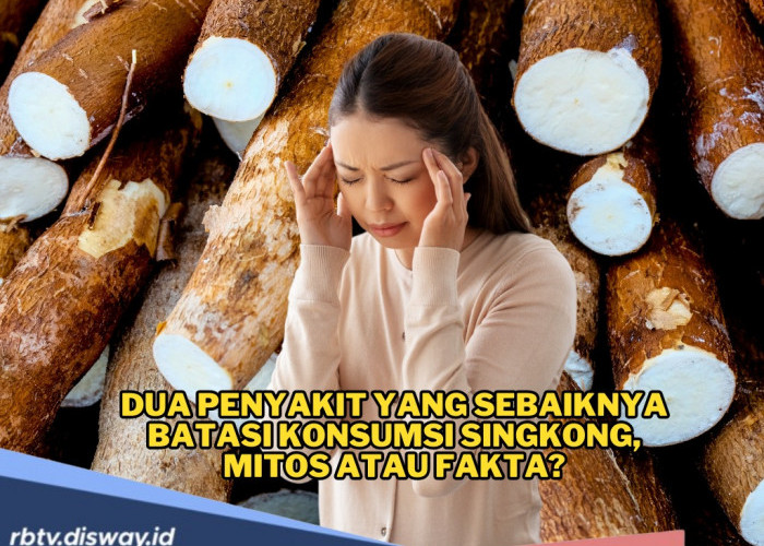 Katanya 2 Penyakit Ini Tidak Boleh Makan Singkong, Benarkah? Simak Ulasannya Berikut