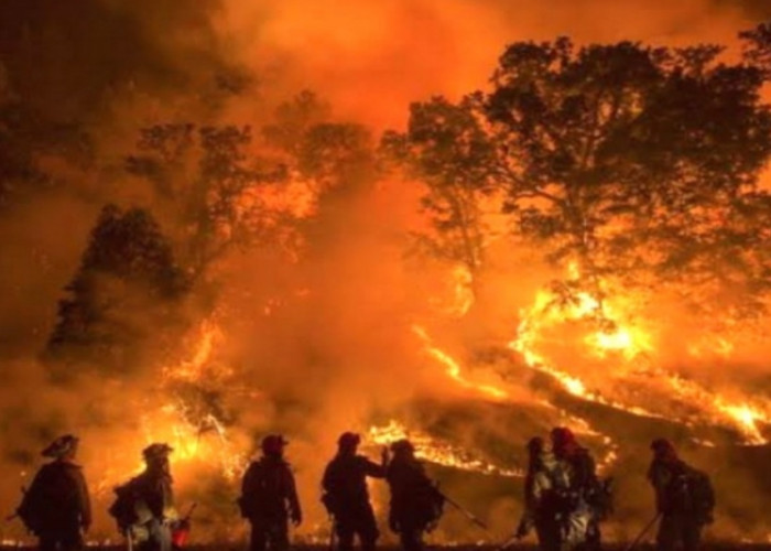 Sering Kebakaran Hutan, Indonesia Termasuk Negara Paru-paru Dunia Penjaga Iklim Bumi