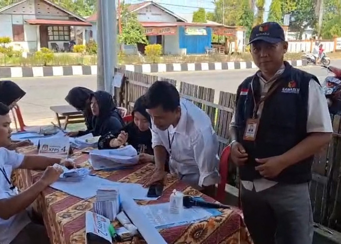 Pemungutan Suara Tuntas, Begini Hasil Perhitungan Tim Rifai-Yevri
