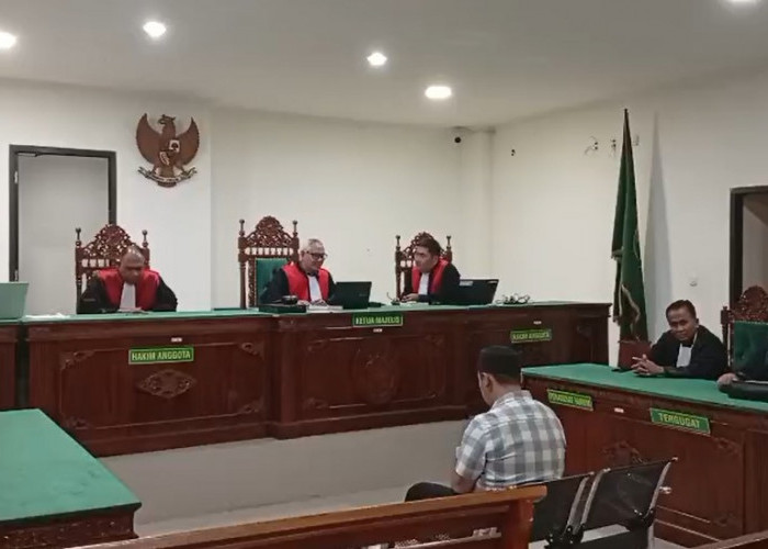 Hakim Pengadilan Negeri Bengkulu Menjatuhkan Putusan Lepas ke Terdakwa Kasus Minyakita 