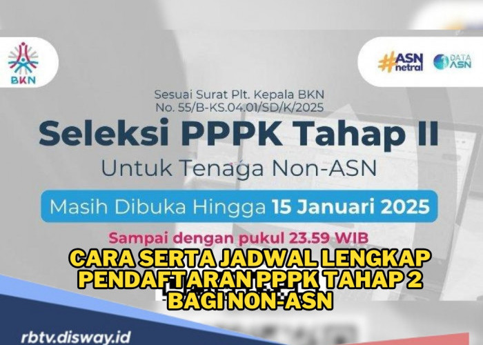 Ini Panduan Cara dan Jadwal Lengkap Pendaftaran PPPK Tahap 2 di SSCASN BKN