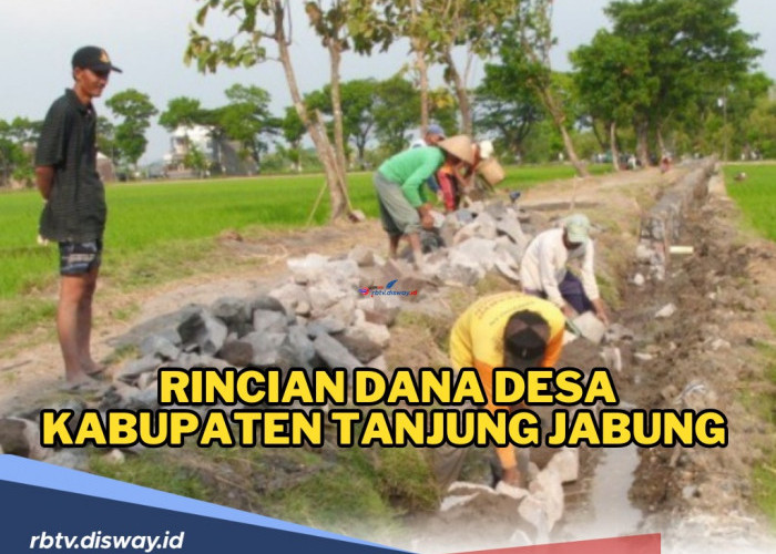 Rincian Dana Desa Kabupaten Tanjung Jabung 2024, Berapa Alokasi Dana di Desamu?