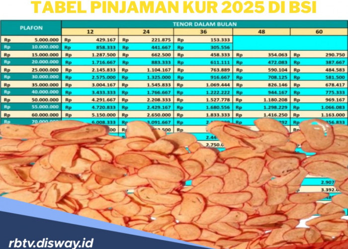 Tabel Pinjaman KUR 2025 di BSI, Pinjam Rp 20 Juta, Angsuran Bulanannya Sangat Kecil