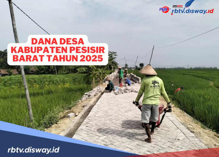 Rincian Dana Desa Kabupaten Pesisir Barat Tahun 2025, Cek Pembagian Desamu