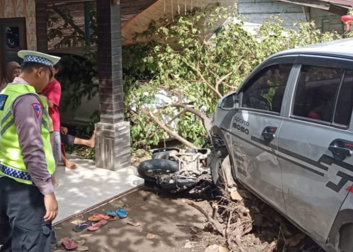 Sopir Ngantuk, Calya Hantam Pohon dan Sepeda Motor, Bocah SD Terluka
