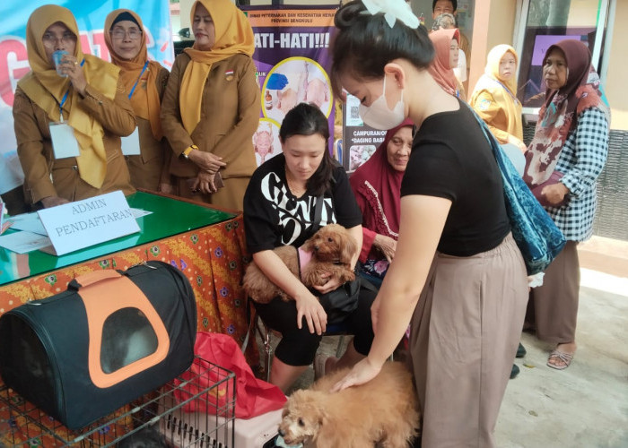 Hari Rabies, Disnakeswan Provinsi Bengkulu Siapkan 4 Ribu Vaksin Gratis