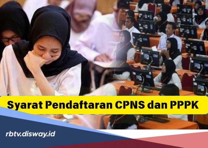 Syarat Pendaftaran CPNS dan PPPK 2024 Beserta Jadwalnya, Cek Aturan Terbarunya!