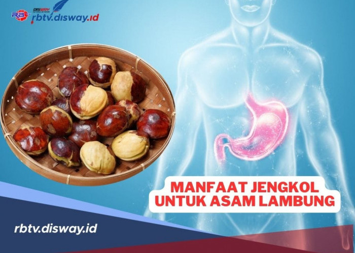 Manfaat Jengkol untuk Asam Lambung, Begini Cara Mengolahnya