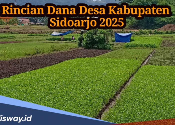 Rincian Dana Desa Kabupaten Sidoarjo 2025, Banyak Desa Dapat Rp 1 Miliar