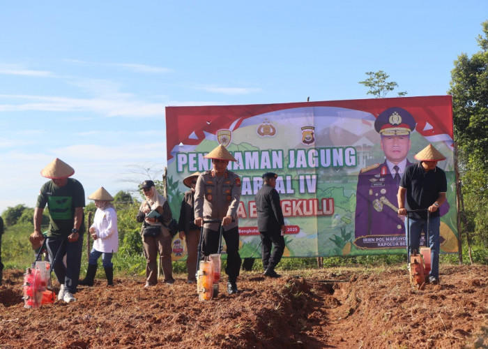 Kapolda Bengkulu Pimpin Tanam Jagung Kuartal IV di Kelurahan Surabaya