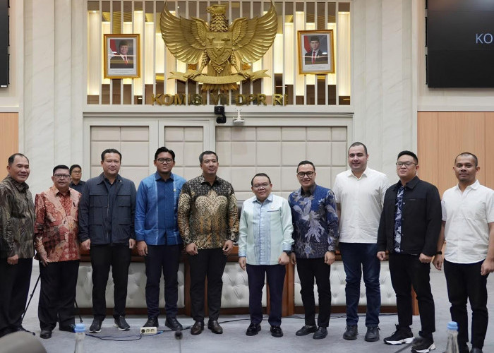 Ketua Umum BPD HIPMI Bengkulu Hadir di RDPU PANJA DPR-RI, Kami Ingin Menjadi Tuan Rumah di Daerah Kami Sendiri