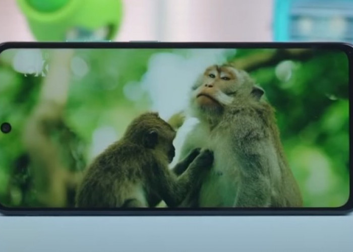 Rekomendasi HP 5G yang Punya Fitur NFC dan Kamera OIS Termurah dan Terbaik 2025