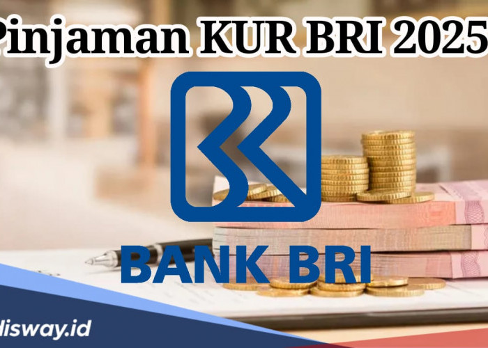 Tak Semuanya Kebagian, Ini Kriteria Pelaku UMKM yang Berhak Terima Pinjaman KUR BRI 2025