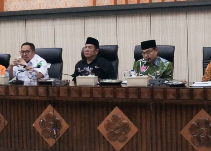 Ini Rangkaian Kegiatan Penyambutan Kepala Daerah Usai Dilantik 6 Februari 2025