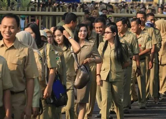 Pendaftaran Seleksi PPPK 2024 Dibuka Awal Oktober, Pahami Panduan Cara Membuat Akun SSCASN