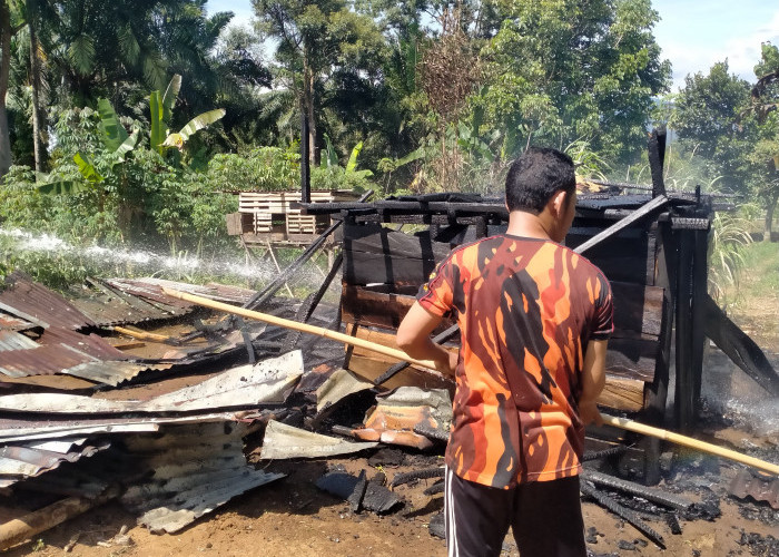 Kebakaran di Desa Lubuk Sahung Bengkulu Utara