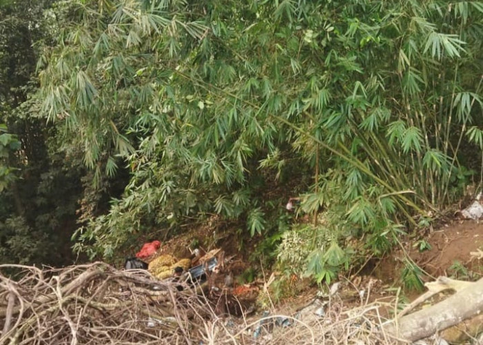 Diduga Rem Blong, Mobil Sayur Masuk Jurang di Liku Sembilan Bengkulu Tengah