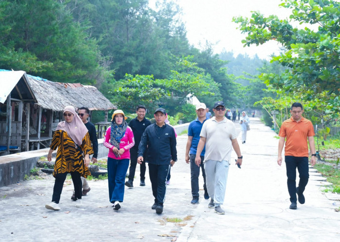 Pemkot Bengkulu Masif Jaga Kebersihan Pantai dan Rawat Pohon Kelapa