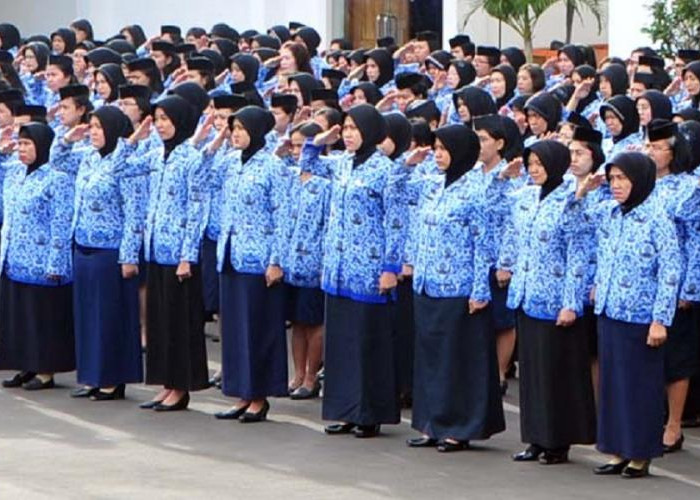 Sudah Dinantikan, Ini Bocoran Jadwal Pendaftaran CPNS 2026