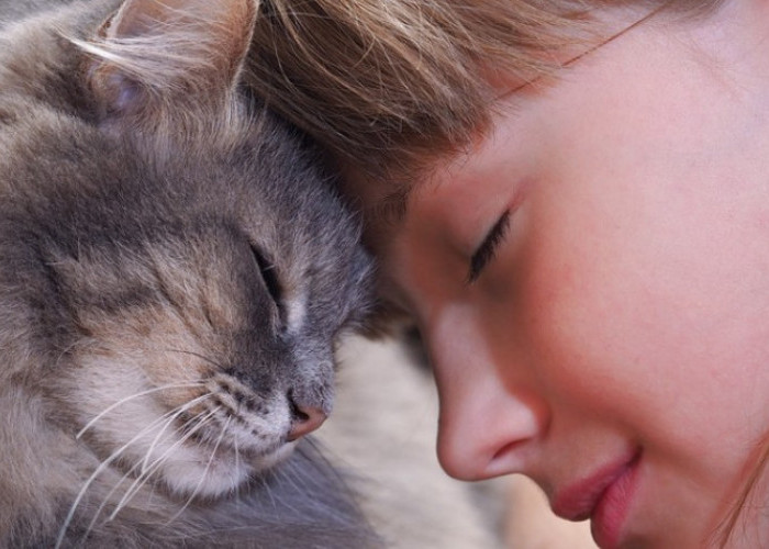Selain Menggemaskan, Memelihara Kucing Dapat Menghilangkan Stres dan Menyerap Energi Negatif