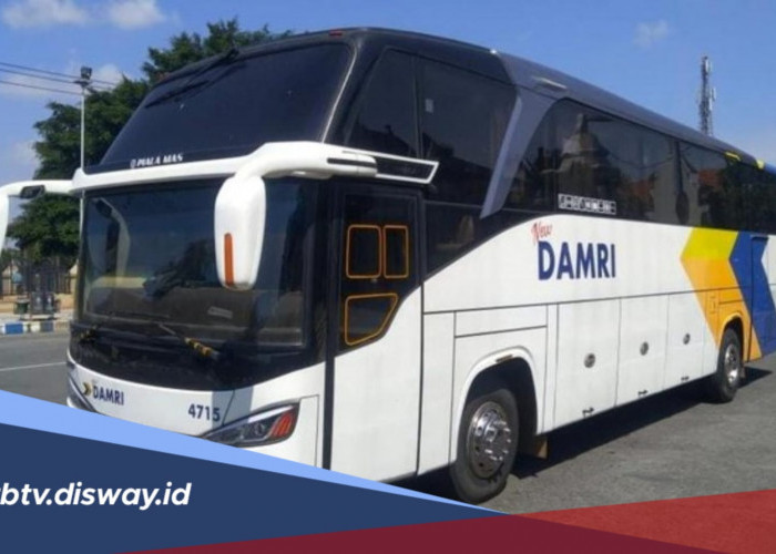 Damri Buka Lowongan Kerja Khusus buat Lulusan S1, Buruan Daftar!