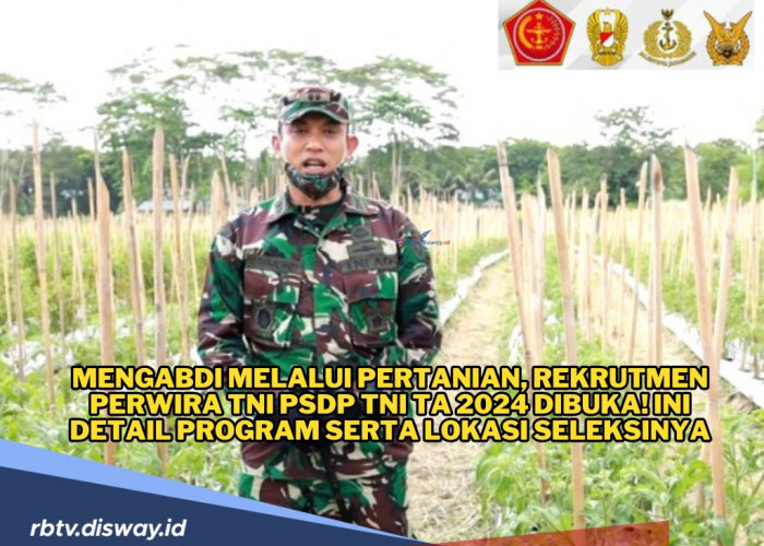 Rekrutmen Perwira TNI PSDP TNI TA 2024 Dibuka! Ini Detail Program serta Lokasi Seleksinya